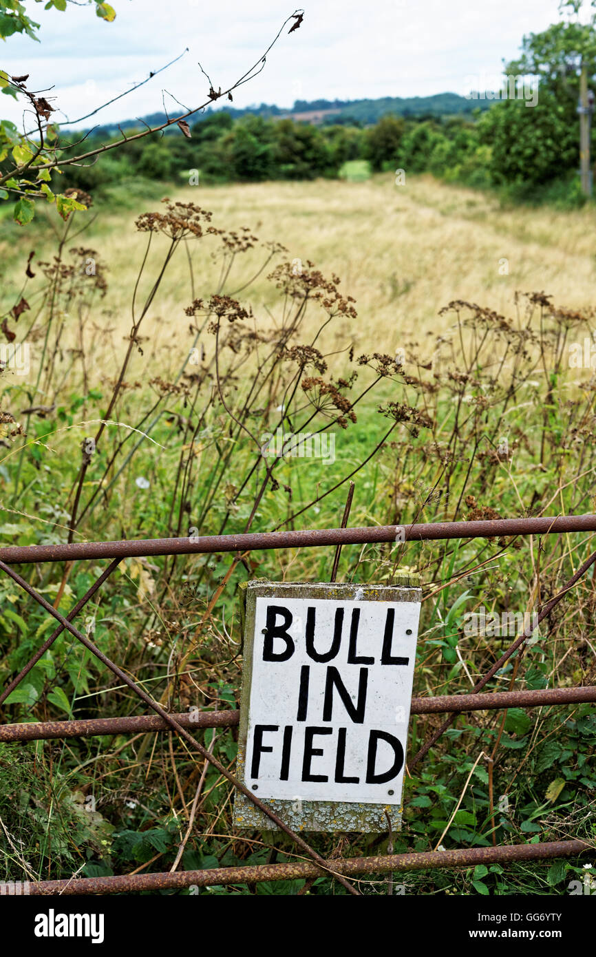 Segnale di avvertimento di Bull nel campo Foto Stock