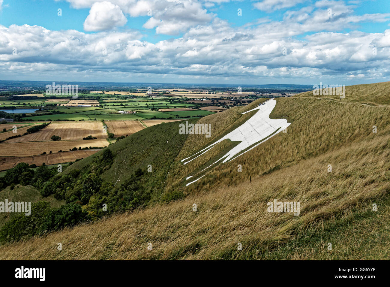 Westbury White Horse su Bratton Downs Wiltshire Foto Stock