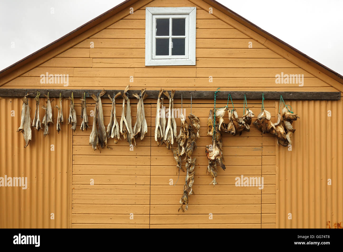 Il museo della pesca in Grenivik, Islanda Foto Stock