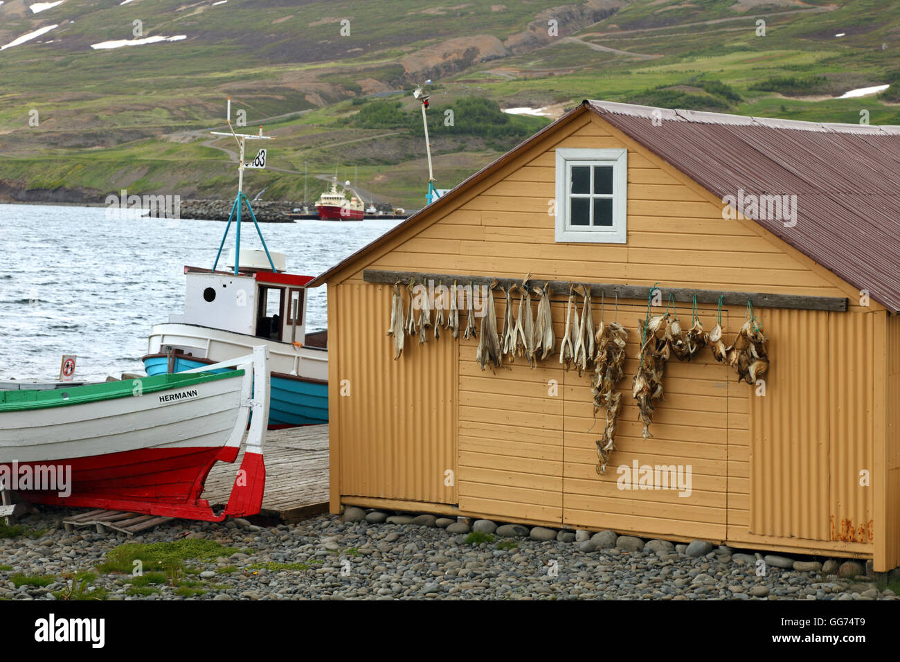 Il museo della pesca in Grenivik, Islanda Foto Stock