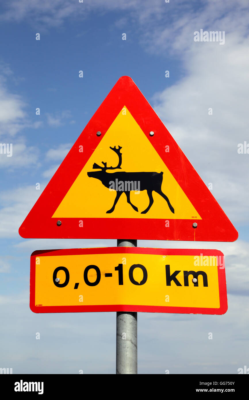 Segno di traffico attenzione le renne, Islanda Foto Stock