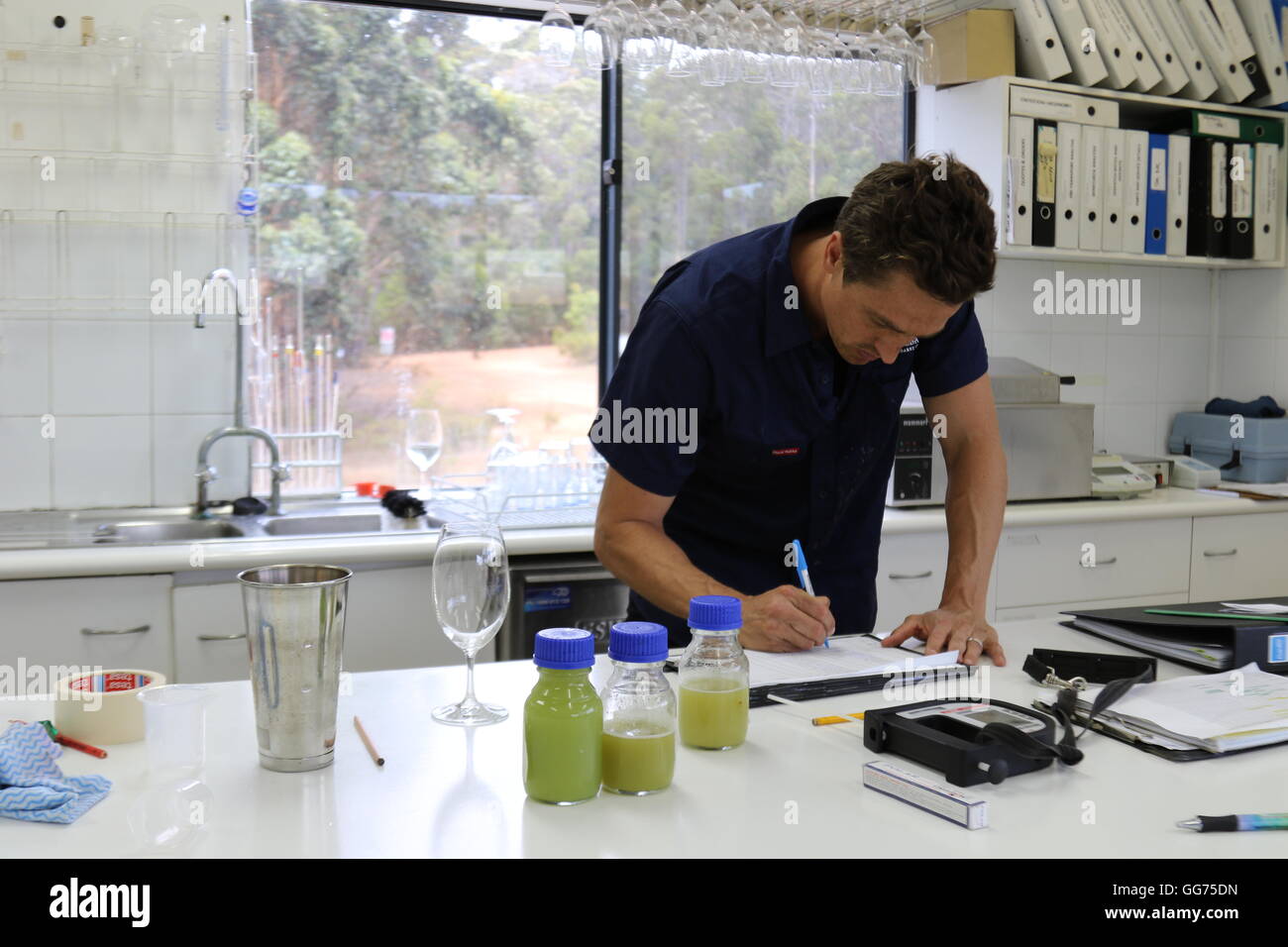 Enologo Luca Jolliffe prendendo appunti in un laboratorio di un azienda vinicola a Stella Bella Vini, Margaret River, Australia Foto Stock