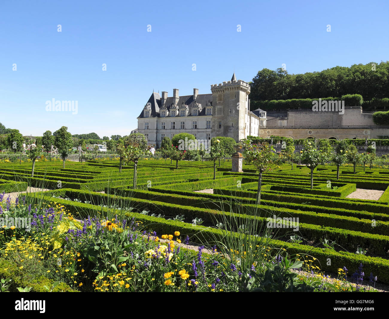 Château de Villandry Valle della Loira in Francia Foto Stock