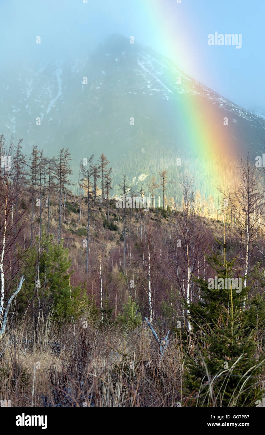 Arcobaleno colorato su grigio sfondo con cielo nuvoloso in montagna. Foto Stock