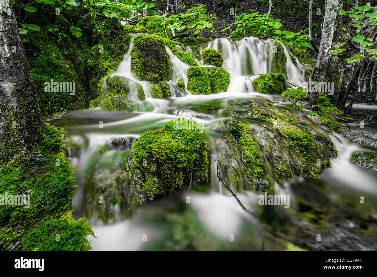 Le cascate del Parco Nazionale di Plitvice in Croazia Foto Stock
