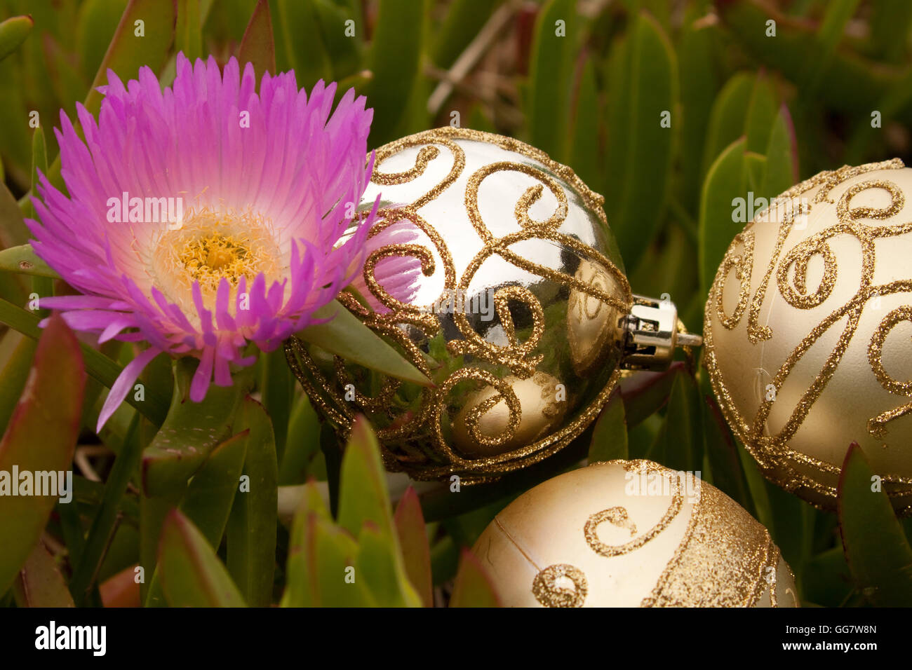 Natale decorativo baubles disposti in sabbia con driftwood su una spiaggia in Nuova Zelanda per un estate Emisfero Sud Xmas Foto Stock