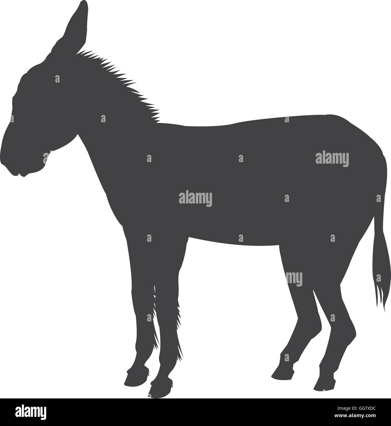 Asino icona silhouette Illustrazione Vettoriale