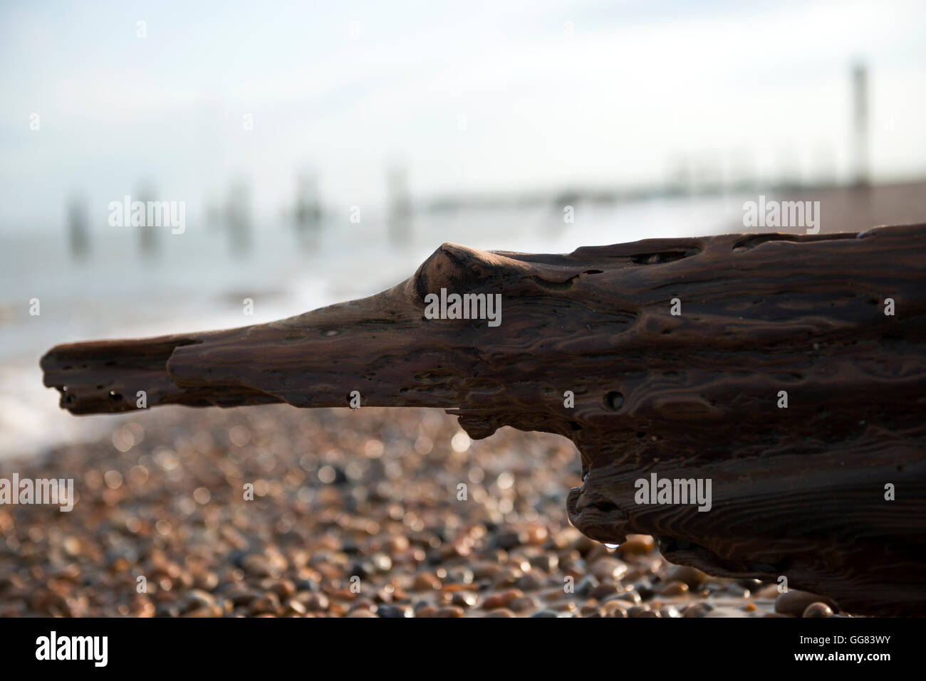 Struttura di frangionde legno eroso nella forma di un coccodrillo Foto Stock