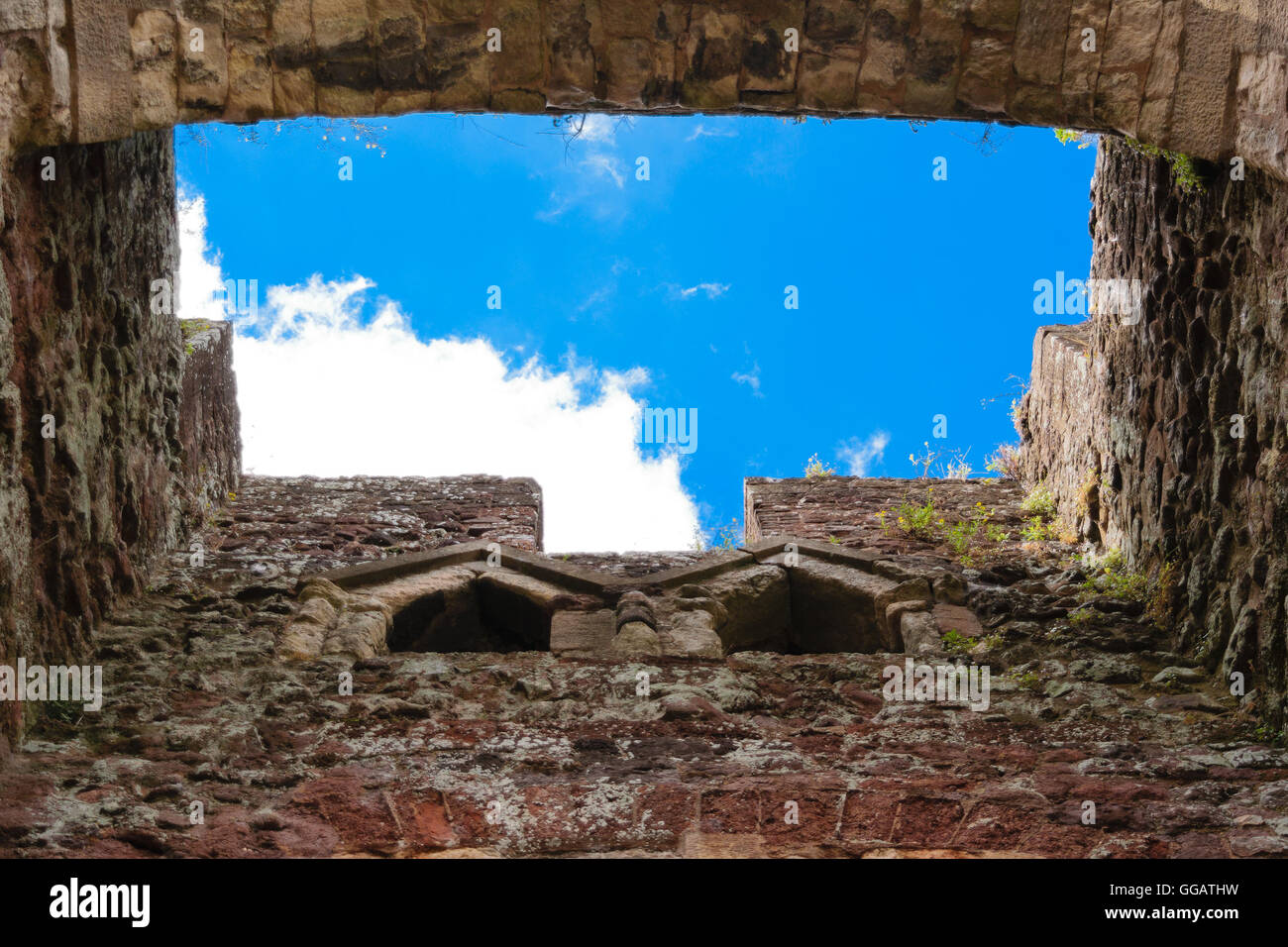 Il castello di Exeter alto muro nel Devon, Regno Unito Foto Stock