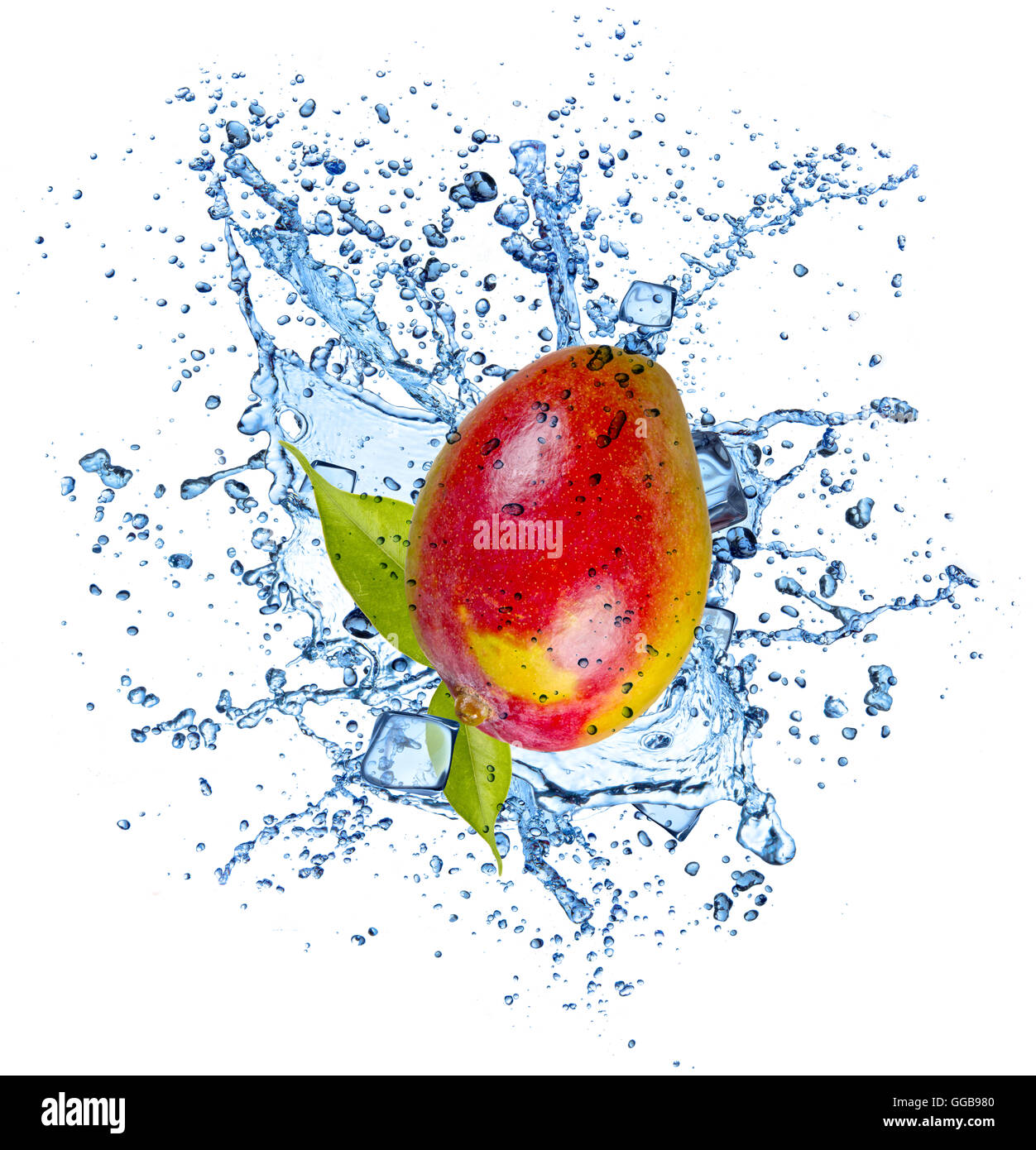 Mango in acqua splash e cubetti di ghiaccio, isolato su sfondo bianco Foto Stock