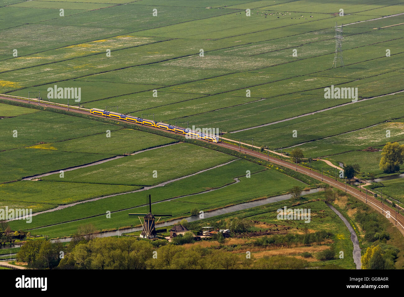 Vista aerea, campi con rogge, Naarden, Olanda Settentrionale, Paesi Bassi, Europa, vista aerea, uccelli-occhi vista, indagine, Foto Stock