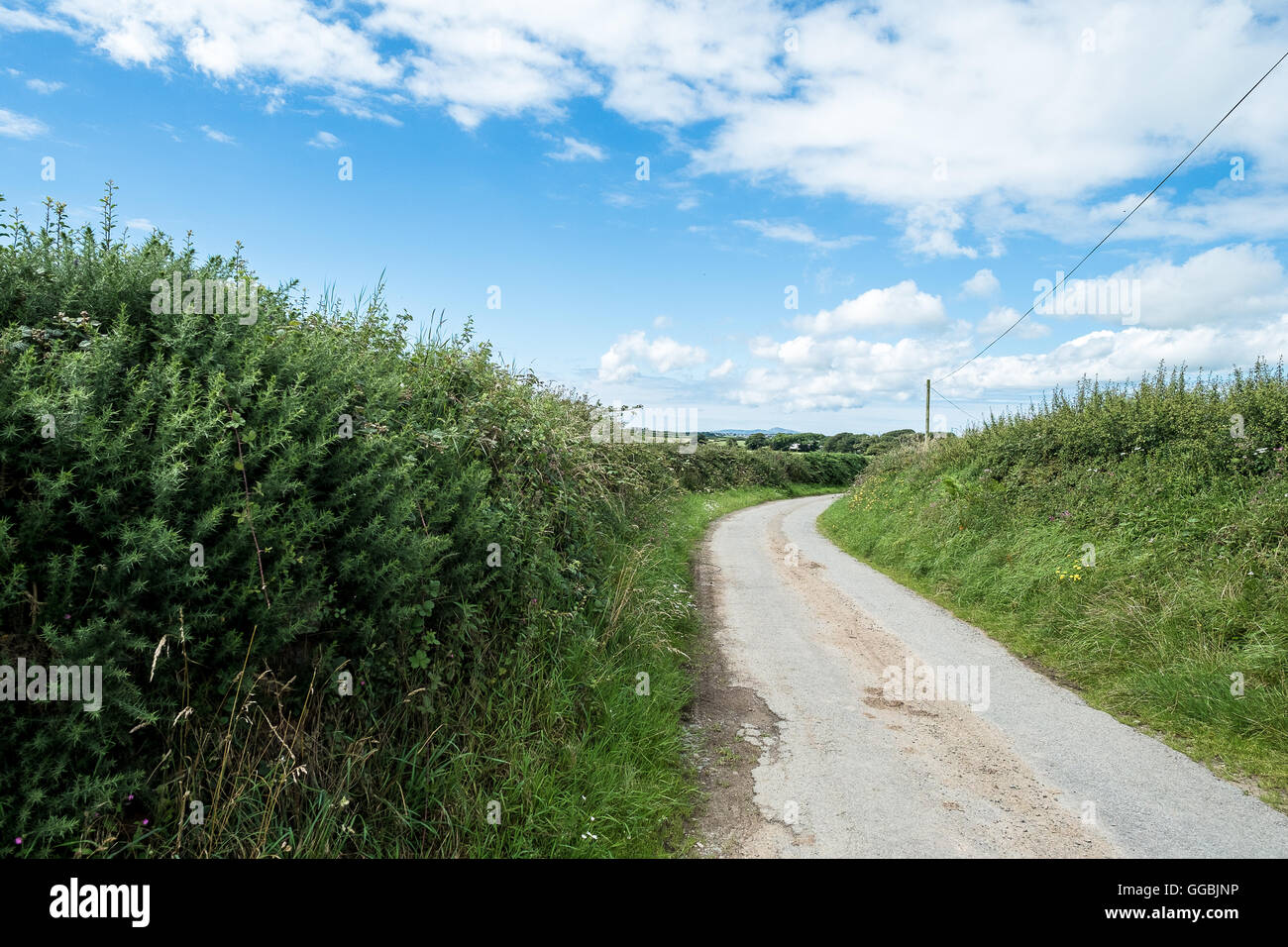 Strade di campagna attraverso Anglesey in una giornata di sole in bike, il Galles del Nord, Regno Unito Foto Stock