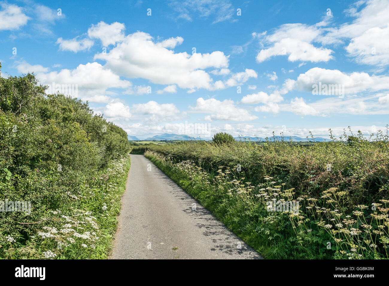 Counrry strade attraverso Anglesey in una giornata di sole in bike, il Galles del Nord, Regno Unito Foto Stock