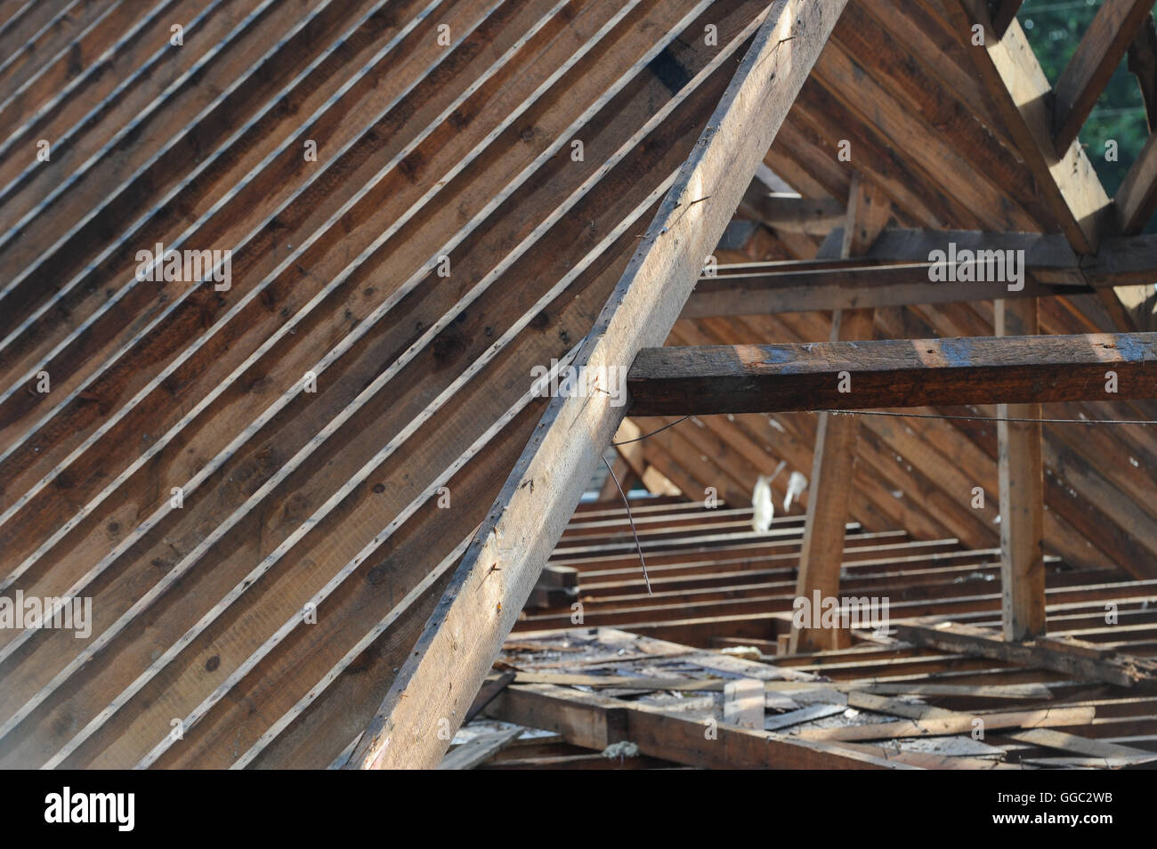 Interruzione nel mese di agosto umido clima consente per la copertura dei mestieri di lavorare sulla ricostruzione di travi del tetto. Foto Stock