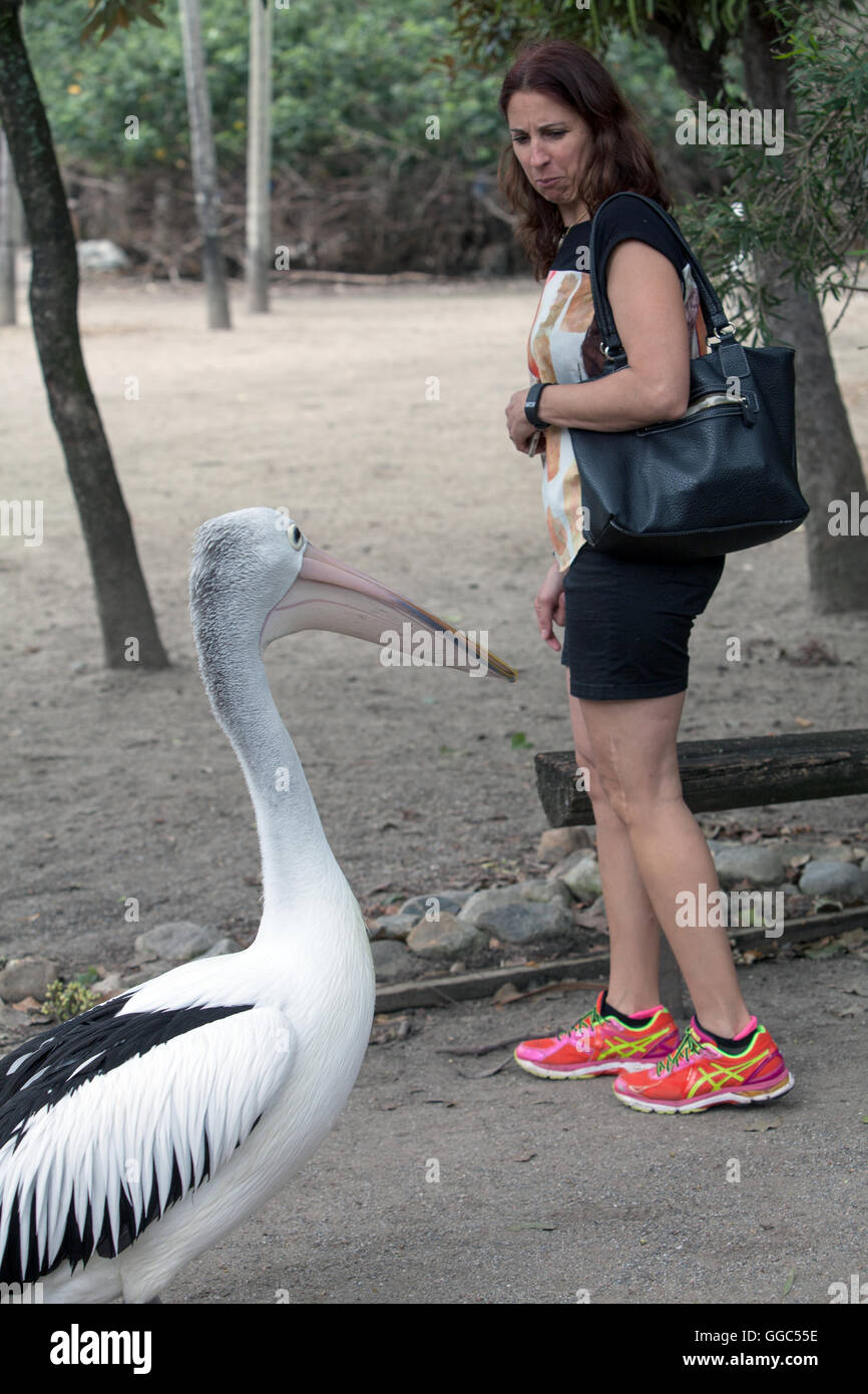 Habitat umido Zoo, Port Douglas North Queensland, Australia Foto Stock