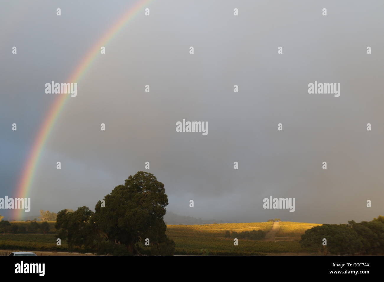 Arcobaleno nel cielo sopra i vigneti di Pewsey Vale vigneto, Eden Valley, Australia Foto Stock