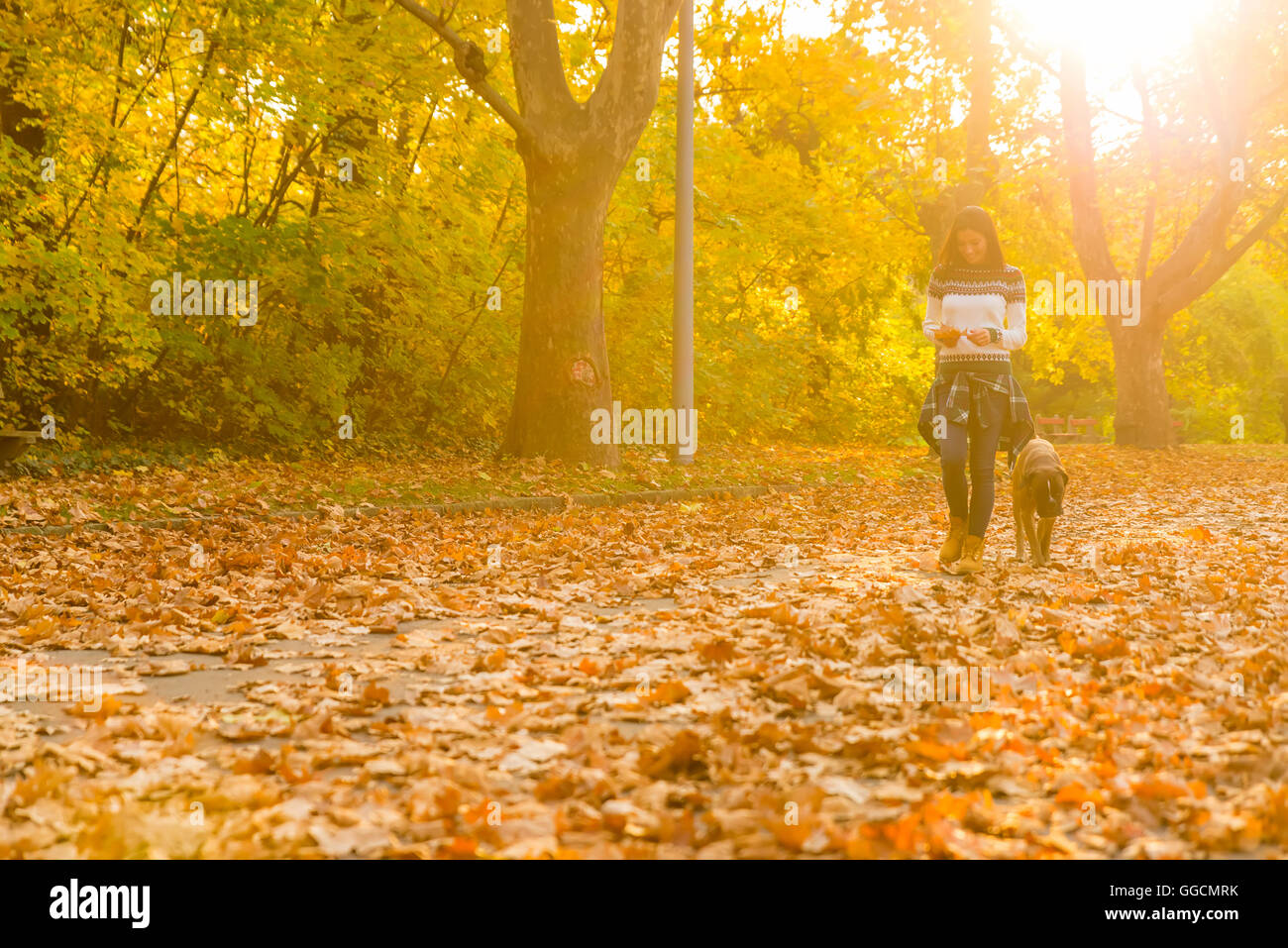 Giovane e bella donna che gioca con il suo cane nel Parco in autunno. Foto Stock