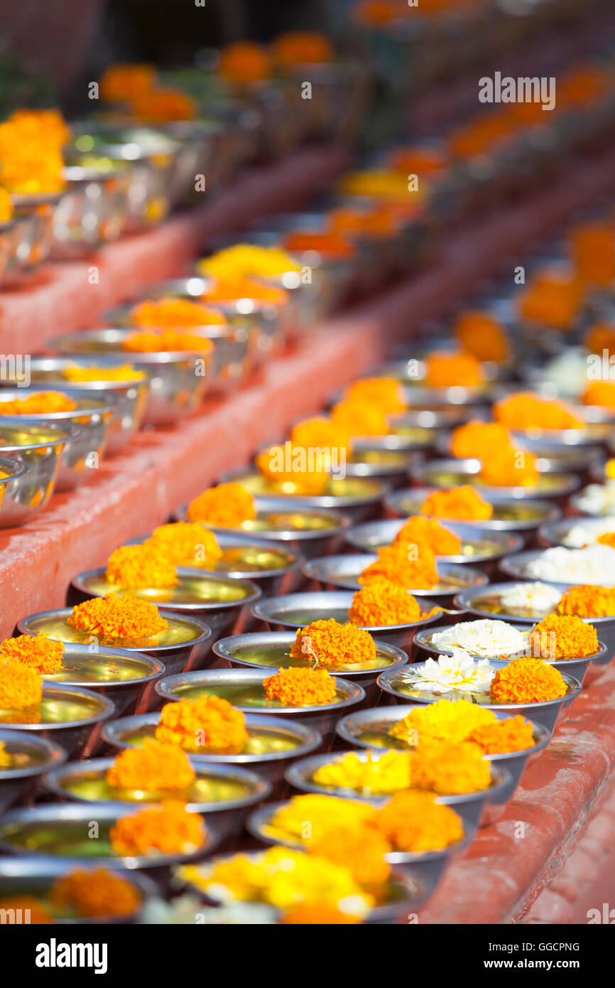 Ciotole con acqua con lo zafferano e fiori a Boudhadhnath tempio di Kathmandu, Nepal Foto Stock