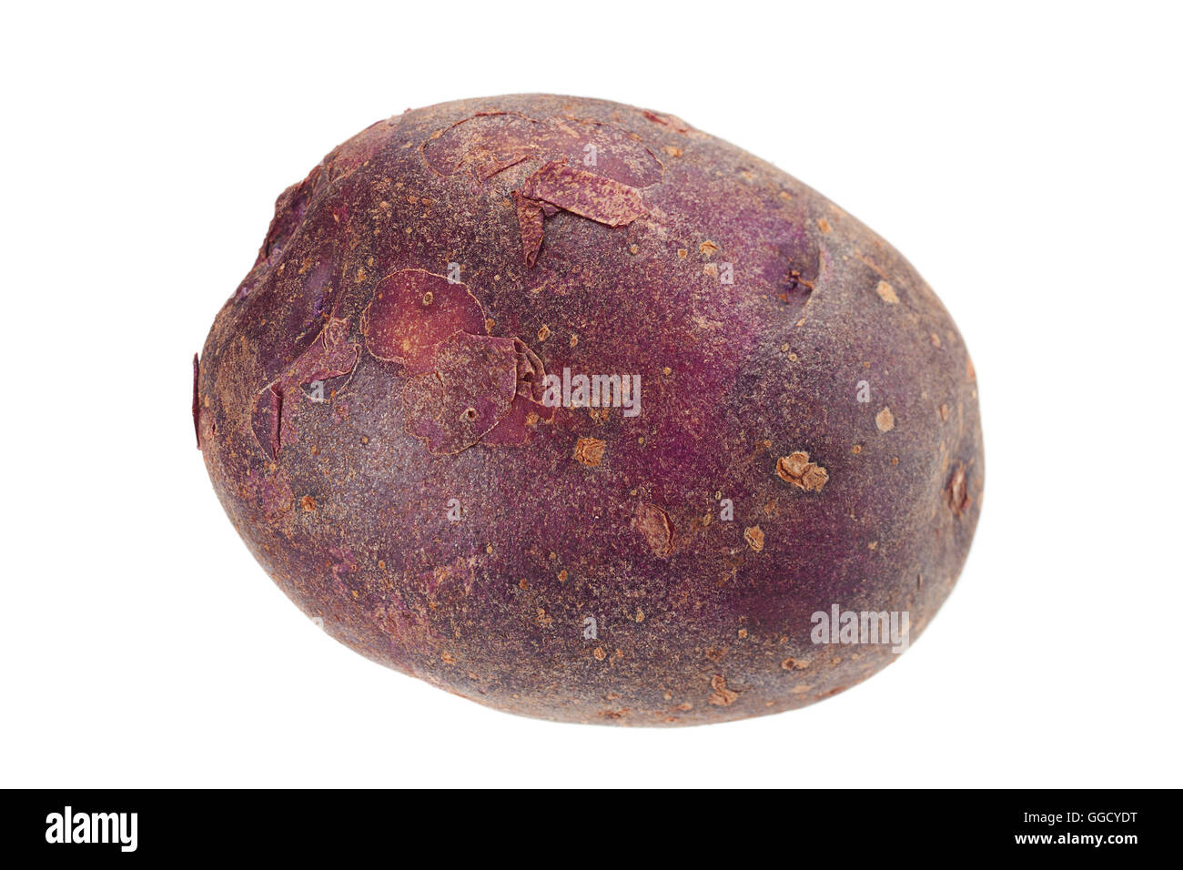 Giovani materie viola patate isolati su sfondo bianco Foto Stock