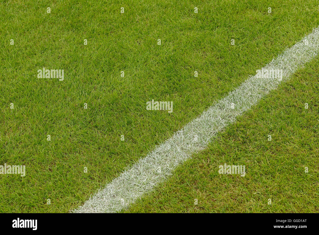L'erba su un campo sportivo con un dipinto di bianco di linea Foto Stock
