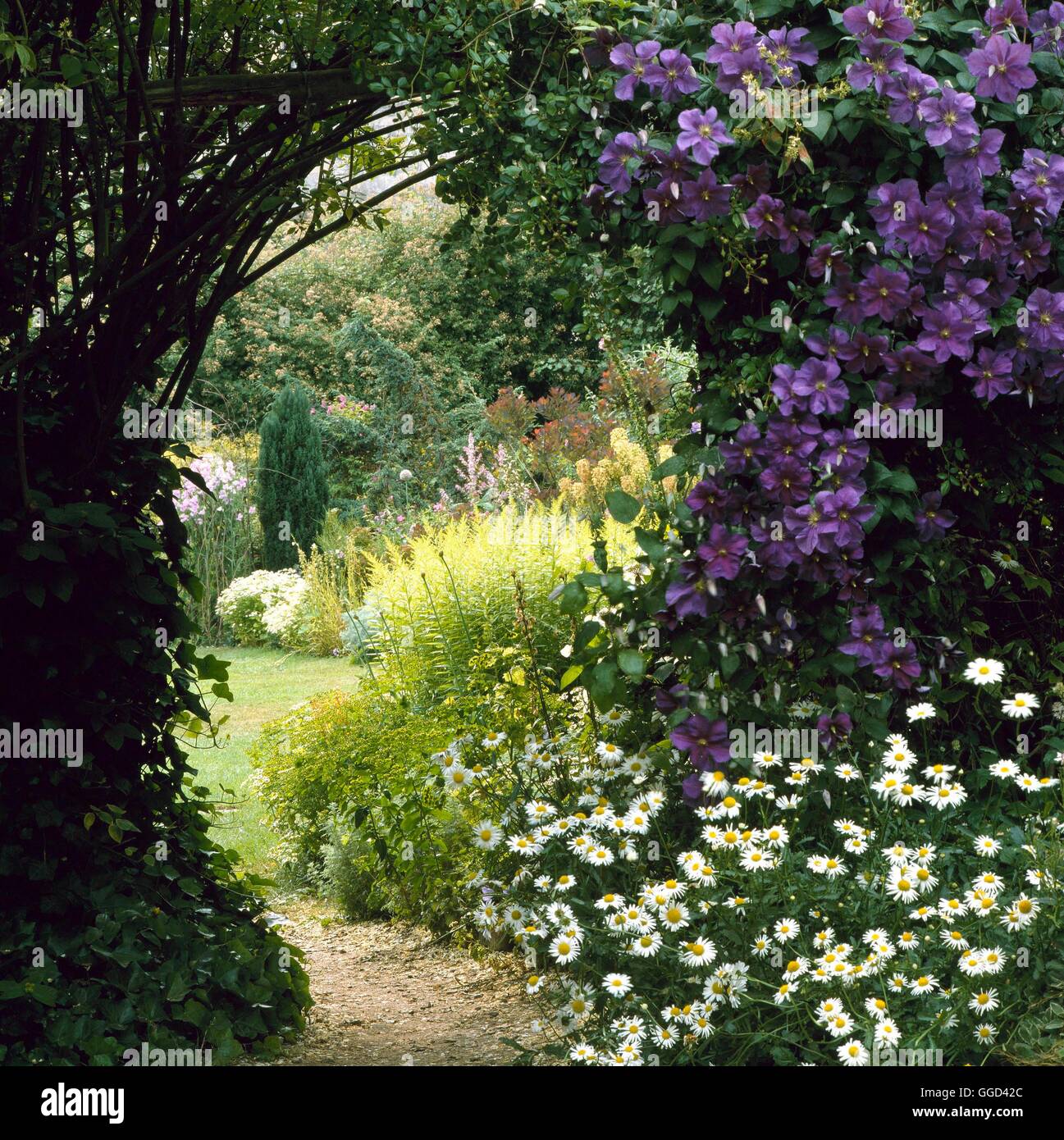 Arco - di Filadelfo e Clematis046461 AD ARCO Foto Stock