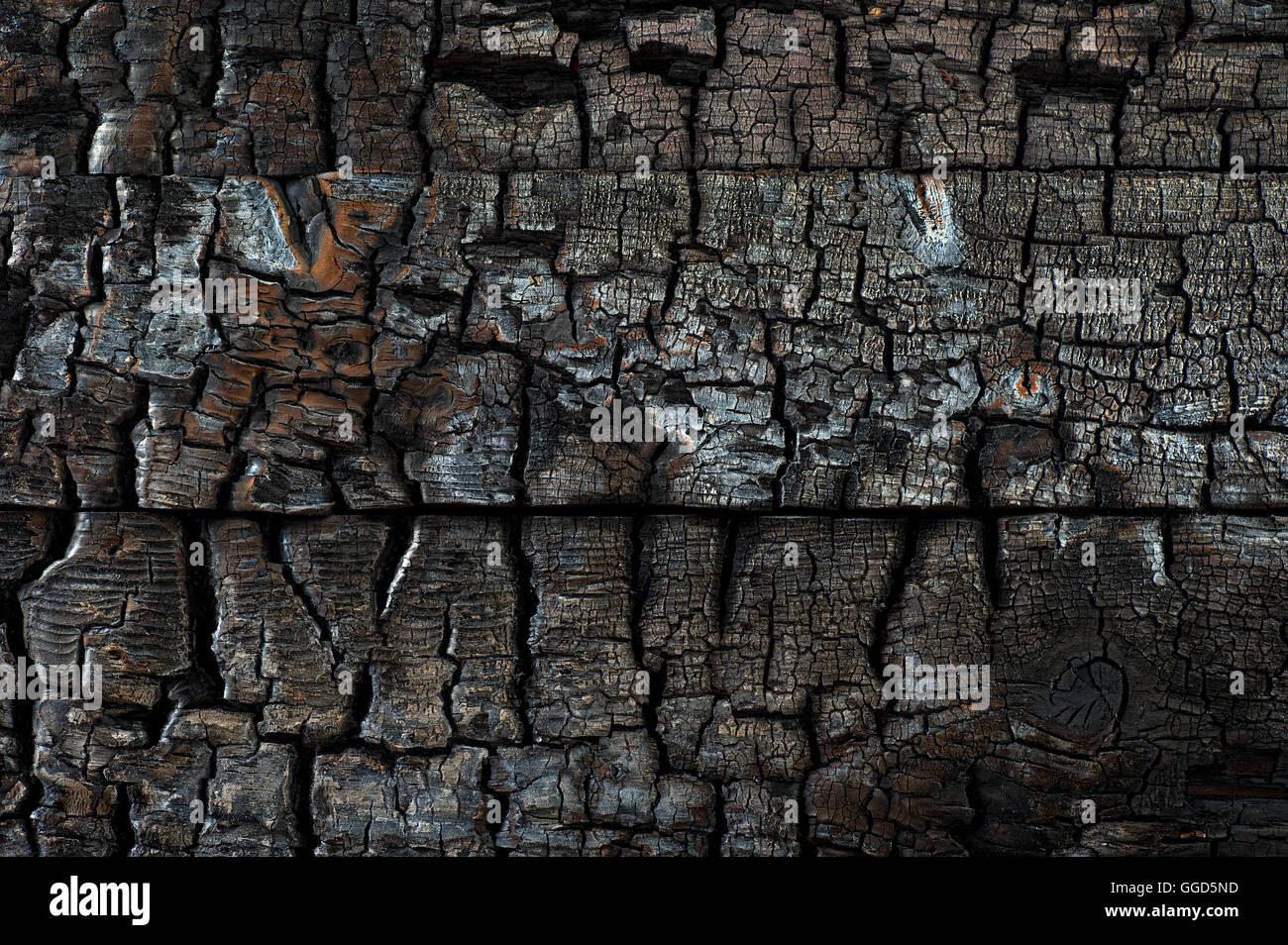 Il legno carbonizzato Texture di sfondo Foto Stock