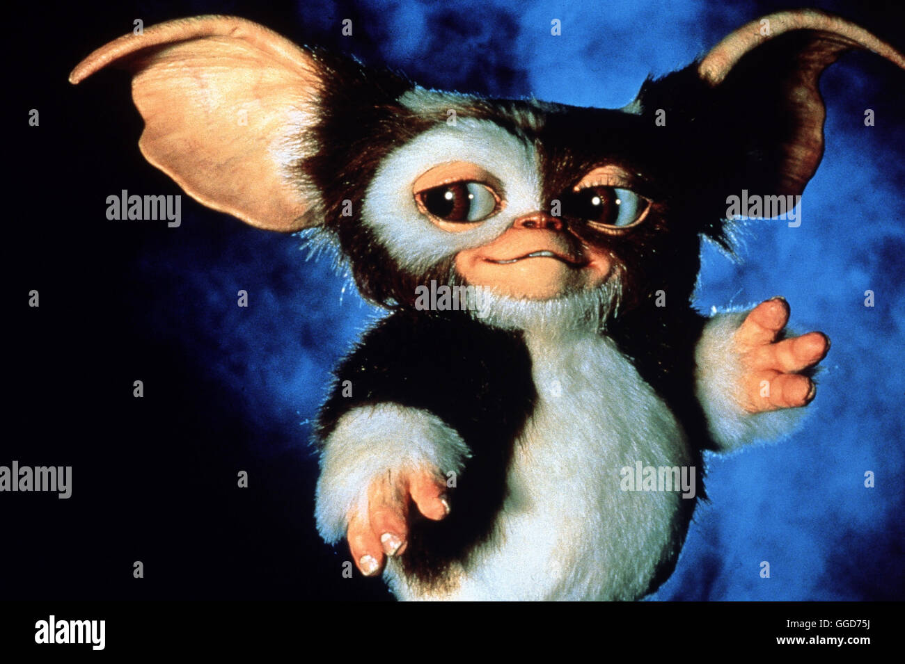 GREMLINS - KLEINE MONSTER / Gremlins USA 1984 / Joe Dante Am Weihnachtsabend verwandeln sich die kleinen Kobolde plöötzlich in böösartige Monstertierchen und die vermehren biestere sich schneller, als man sie in Handarbeit ausrotten kann. Regie: Joe Dante aka. Folletti Foto Stock