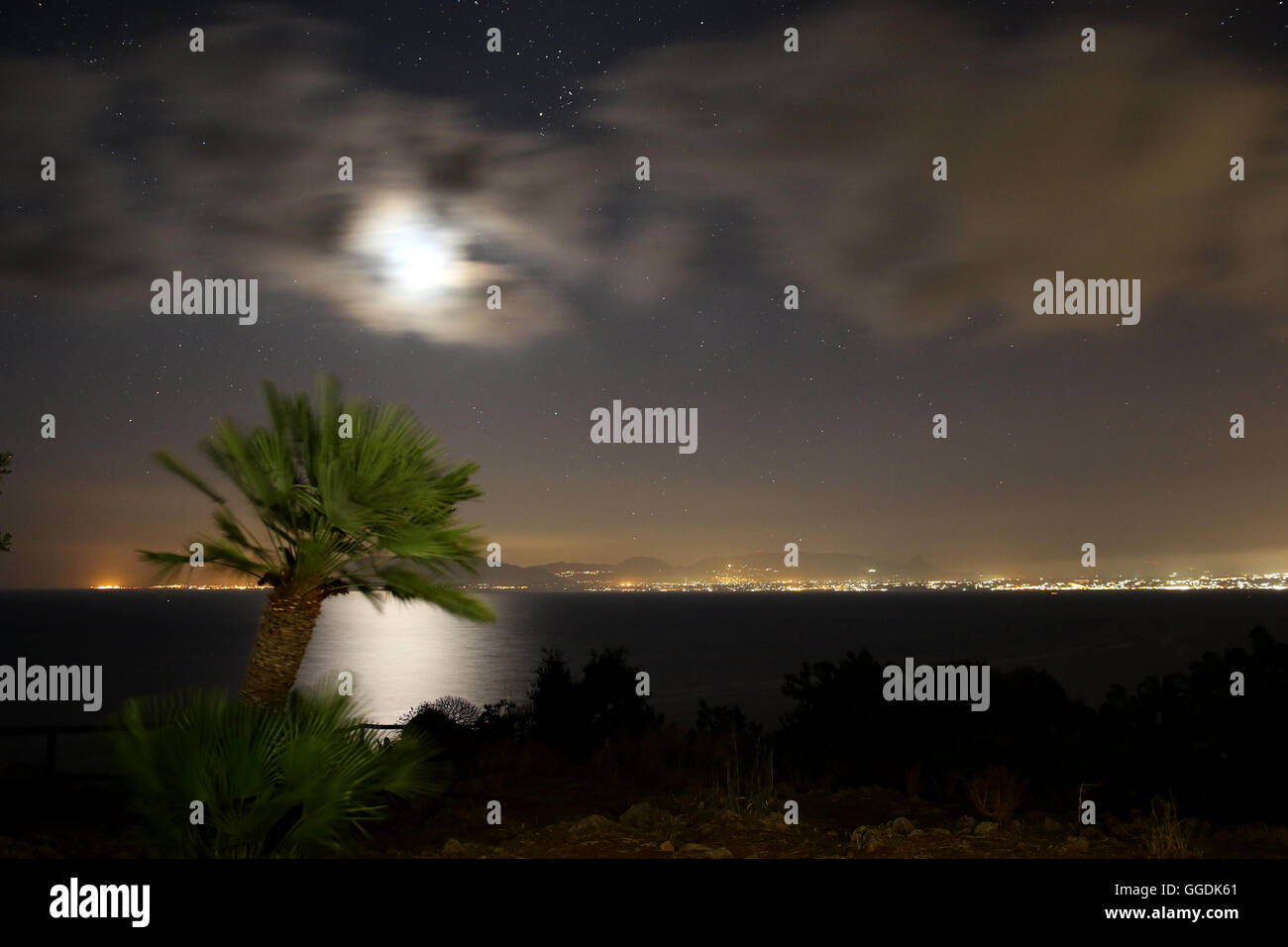 Un piccolo albero di palme di fronte al vedere sotto la luna e le stelle Foto Stock