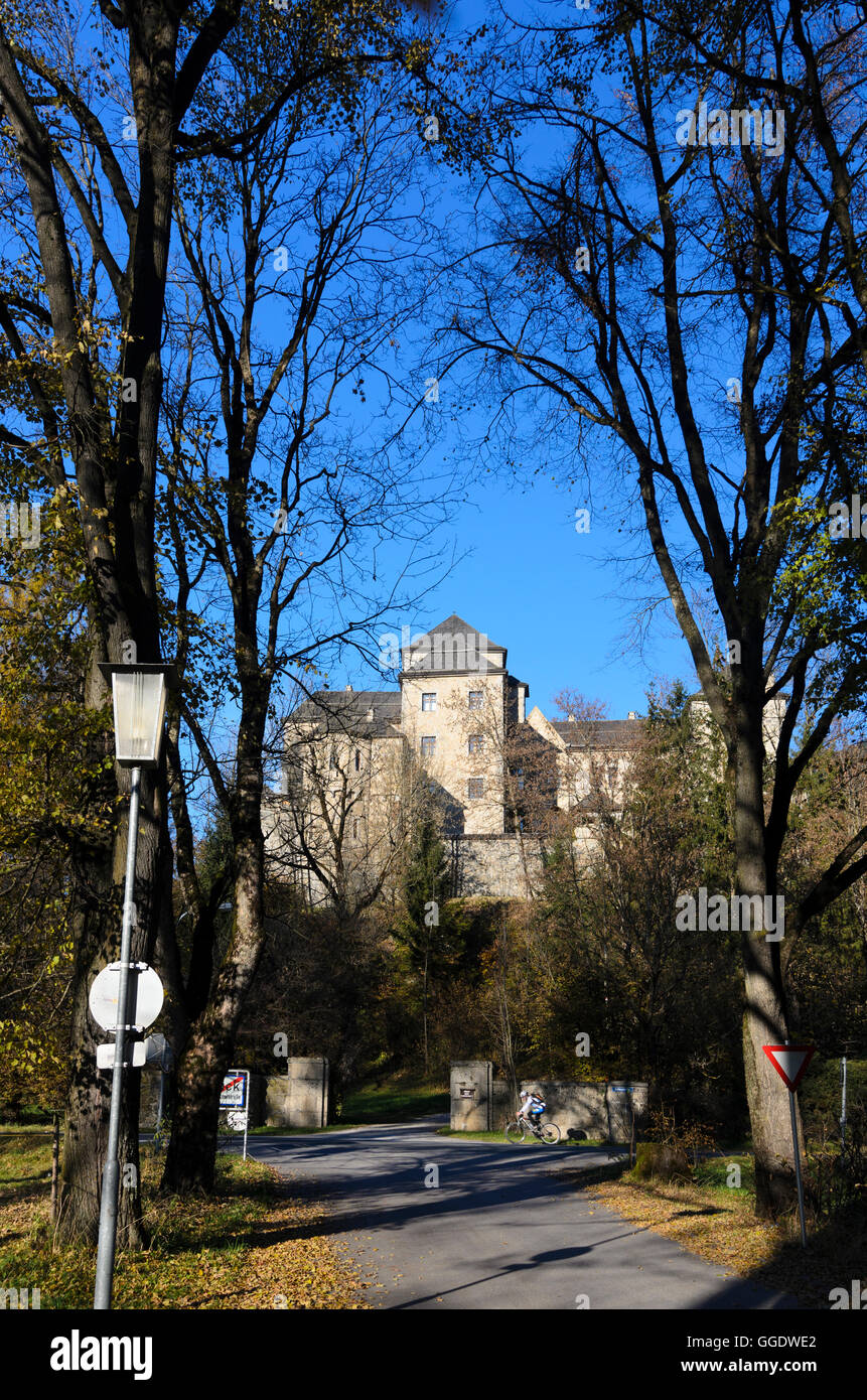 Bruck an der Großglocknerstraße: Fischhorn Castello, Austria, Salisburgo, del Pinzgau Foto Stock
