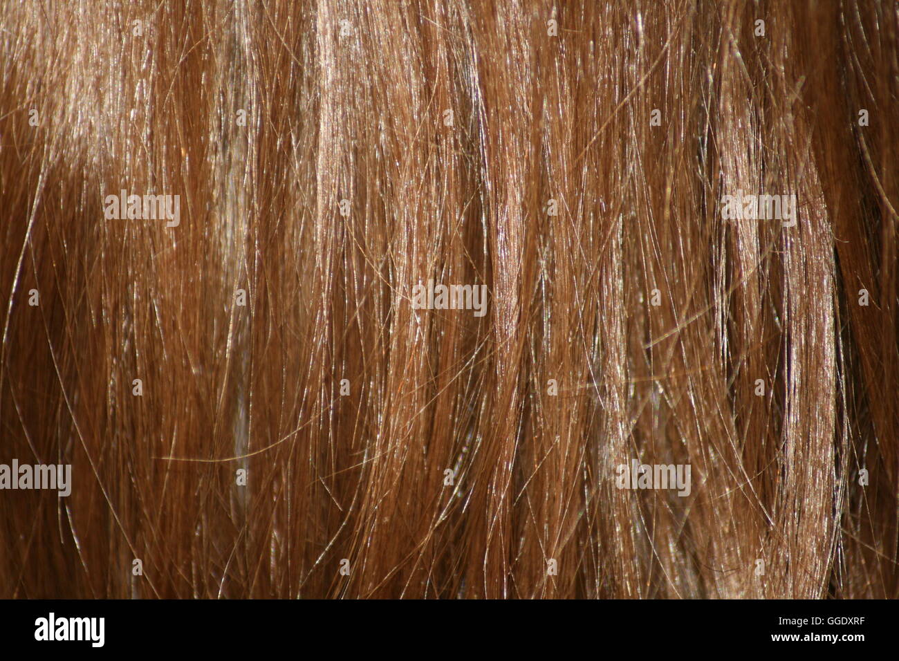 Dritto biondo scuro capelli, Foto Stock