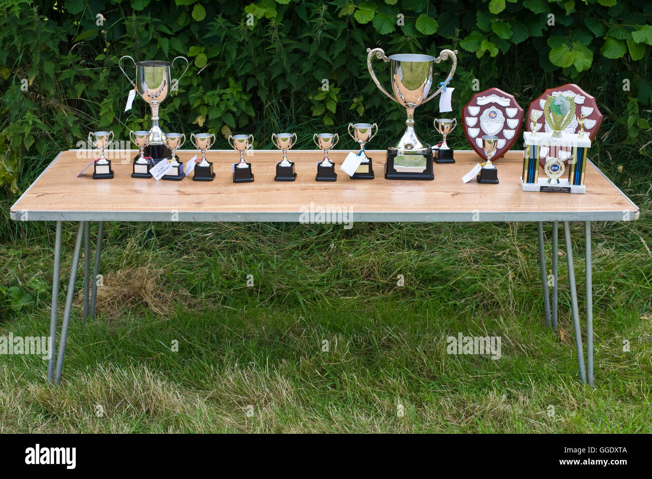 Coppe d'argento e protezioni dei premi ad Gwenddwr Show, Gwenddwr, vicino a Builth Wells, Powys, Wales, Regno Unito Foto Stock