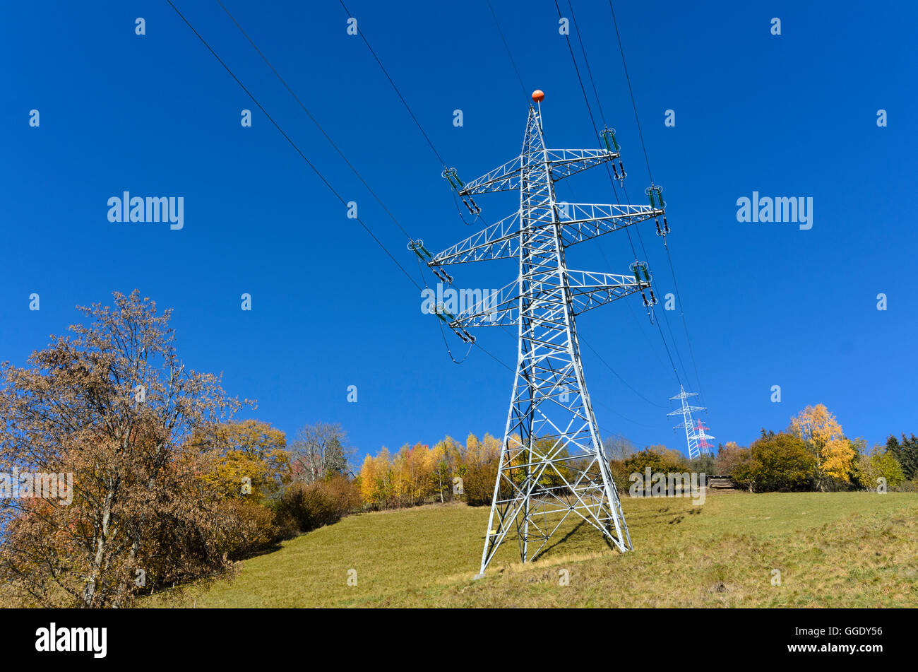 Zell am See: 220 kV linea ad alta tensione, Austria, Salisburgo, del Pinzgau Foto Stock
