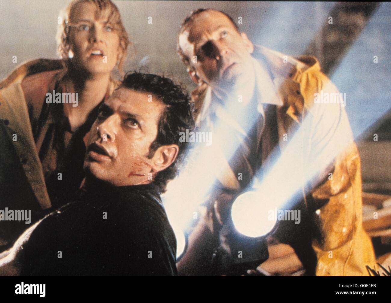 JURASSIC PARK / Jurassic Park USA 1993 / Steven Spielberg Laura Dern, Jeff Goldblum, MARTIN FERRERO in "Jurassic Park".1993. Regie: Steven Spielberg aka. Jurassic Park Foto Stock