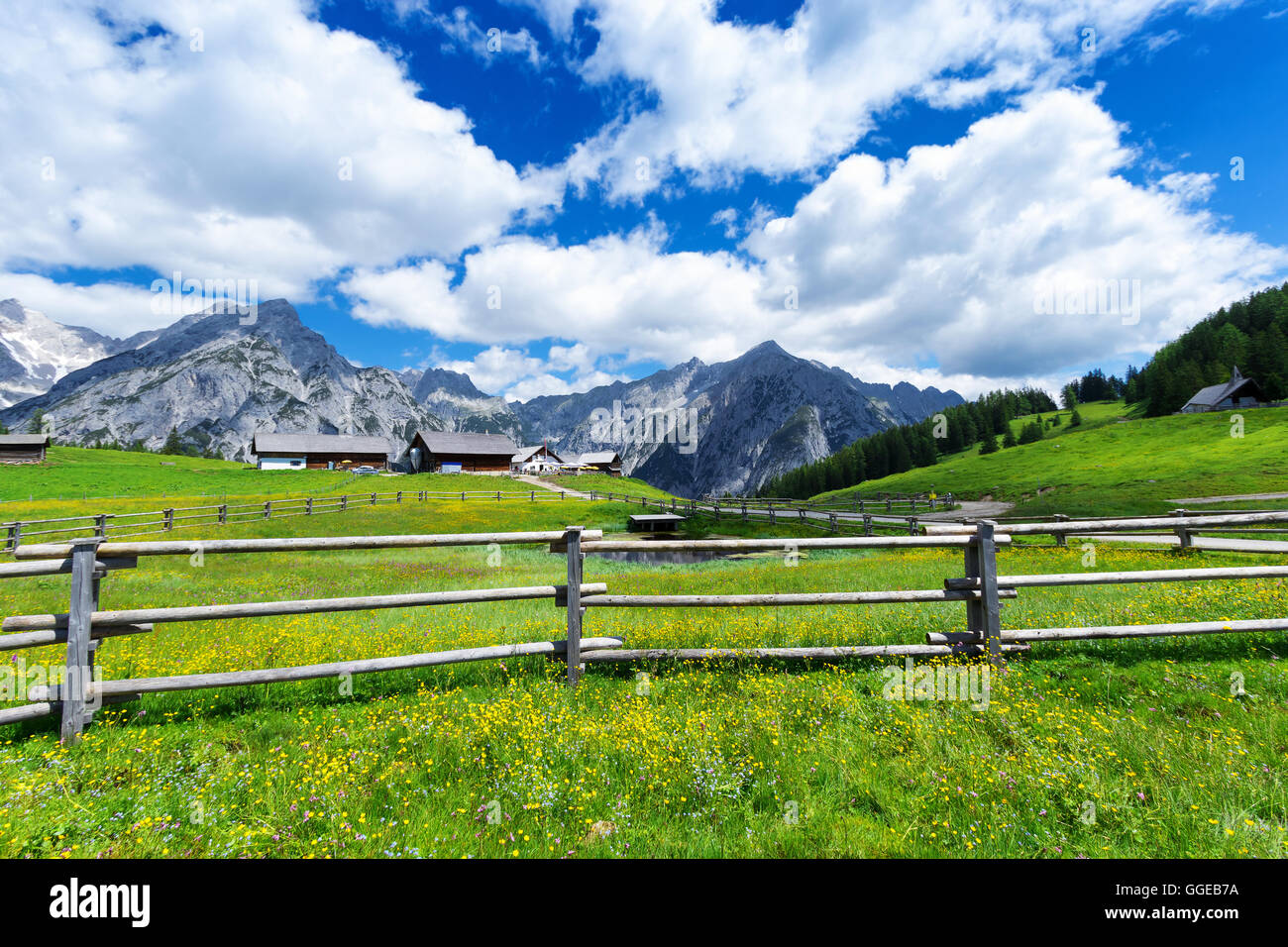 Scenario idilliaco in montagne Karwendel vicino Walderalm. Austria, Tirolo. Foto Stock