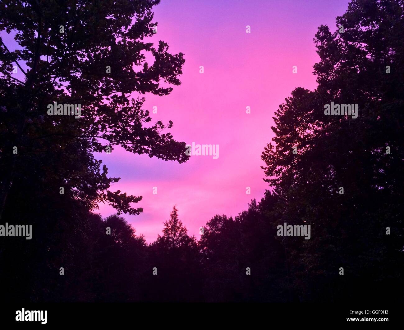 Rosa luminoso nuvole da un vibrante estate tramonto. Foto Stock