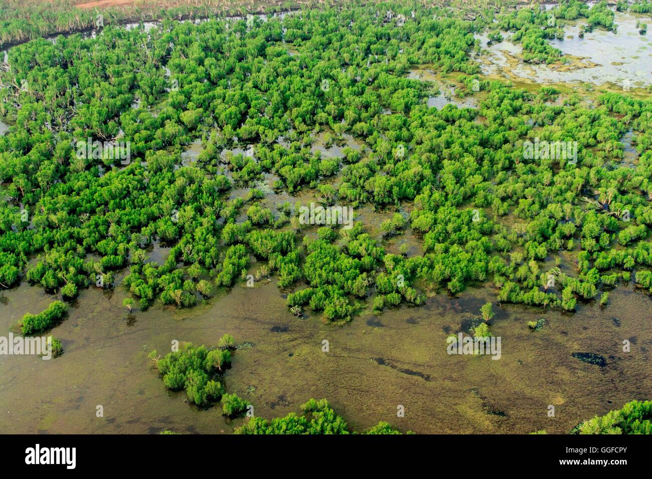 Una veduta aerea delle zone umide del Parco Nazionale Kakadu, Territorio del Nord, l'Australia. Foto Stock