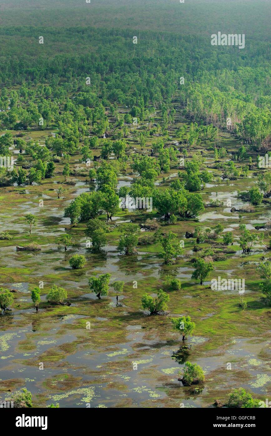 Una veduta aerea delle zone umide del Parco Nazionale Kakadu, Territorio del Nord, l'Australia. Foto Stock