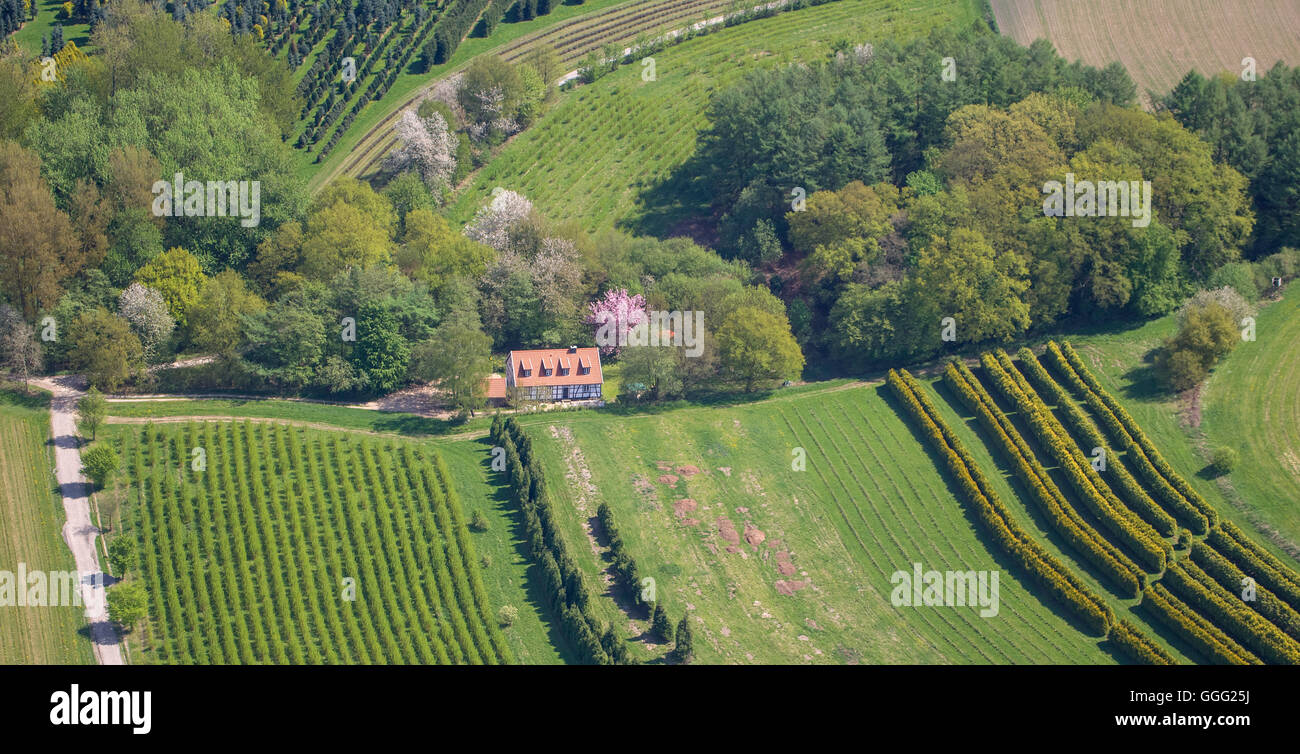 Vista aerea, vista aerea del cibo, am Lago Baldeneysee Fischlaken con Bauer cottas in primavera, vista aerea di Duisburg, Europa, antenna Foto Stock