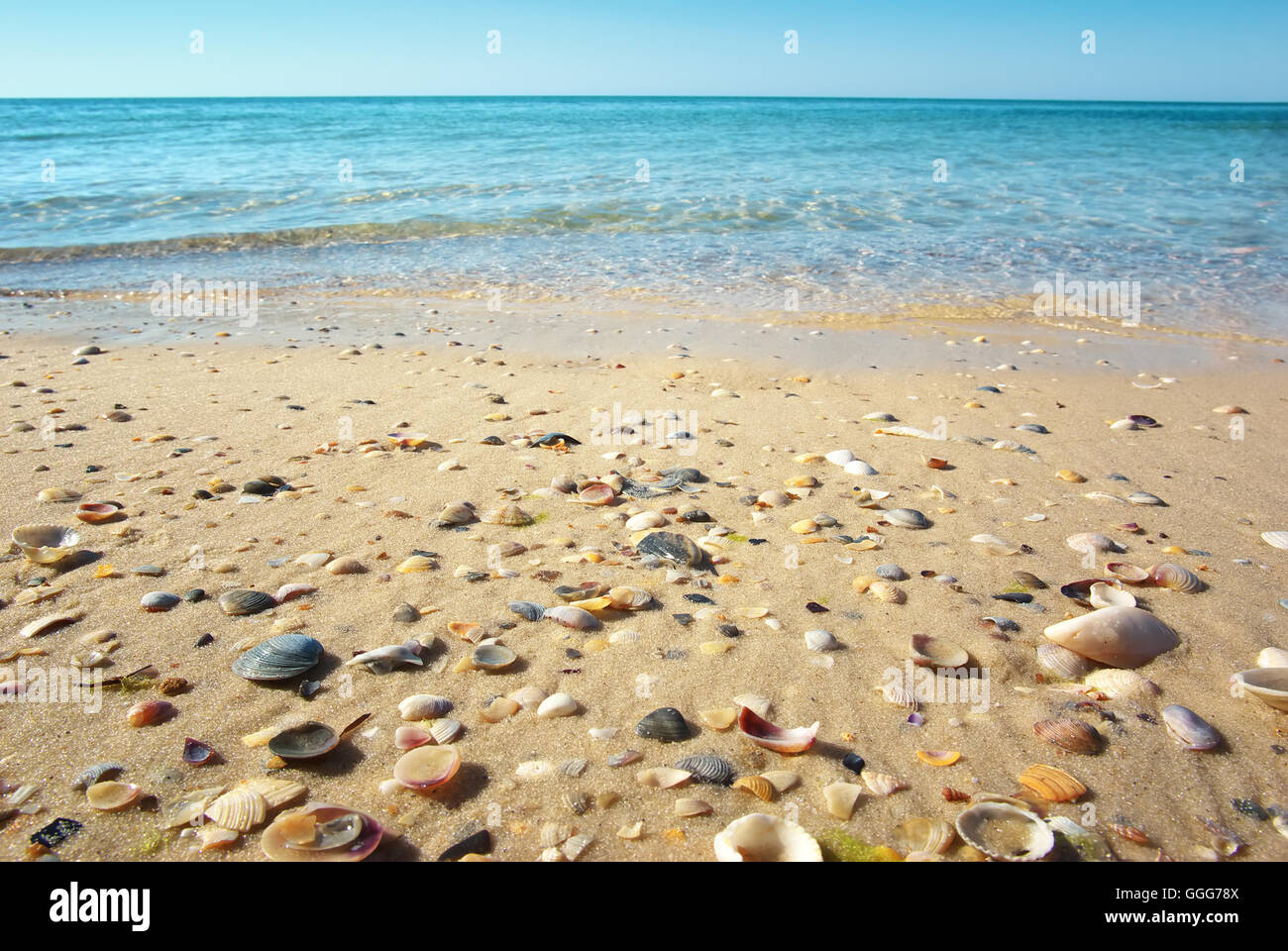 Sabbia di mare e cielo giorno d'estate. La natura della composizione. Foto Stock