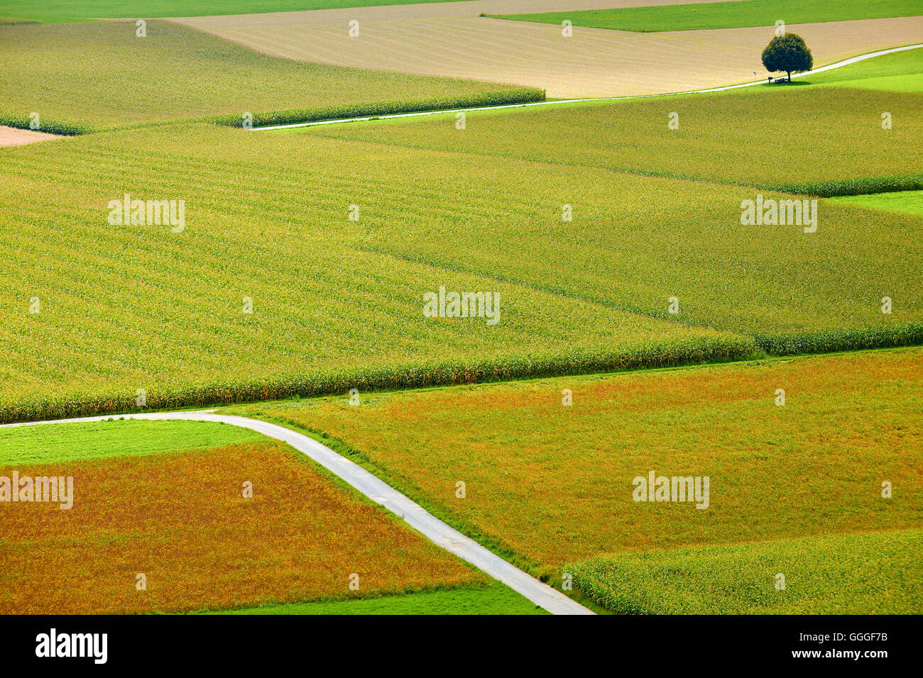 Paesaggio rurale con campi e strade fotografato dal di sopra in estate in Austria Foto Stock