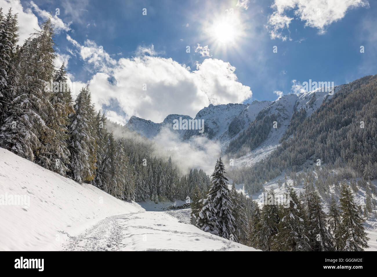 Geografia / viaggi, Italia, Alto Adige, nevoso inverno foresta sul Klausberg in Valle Aurina (Valle Aurina) , Additional-Rights-Clearance-Info-Not-Available Foto Stock