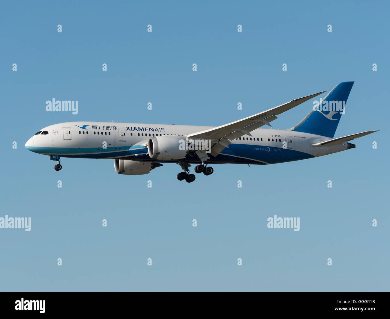 XiamenAir (Xiamen Airlines) 787-8 Boeing Dreamliner aereo jet B-2769 dall'Aeroporto Internazionale di Vancouver Foto Stock