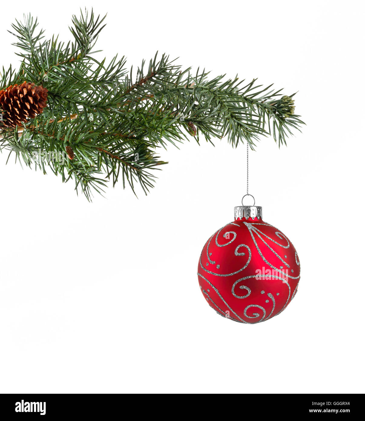 Albero di natale ramo con una decorazione rossa sfera Foto Stock