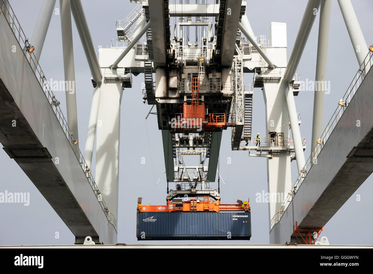Gantry Crane sollevamento di un container via mare Foto Stock