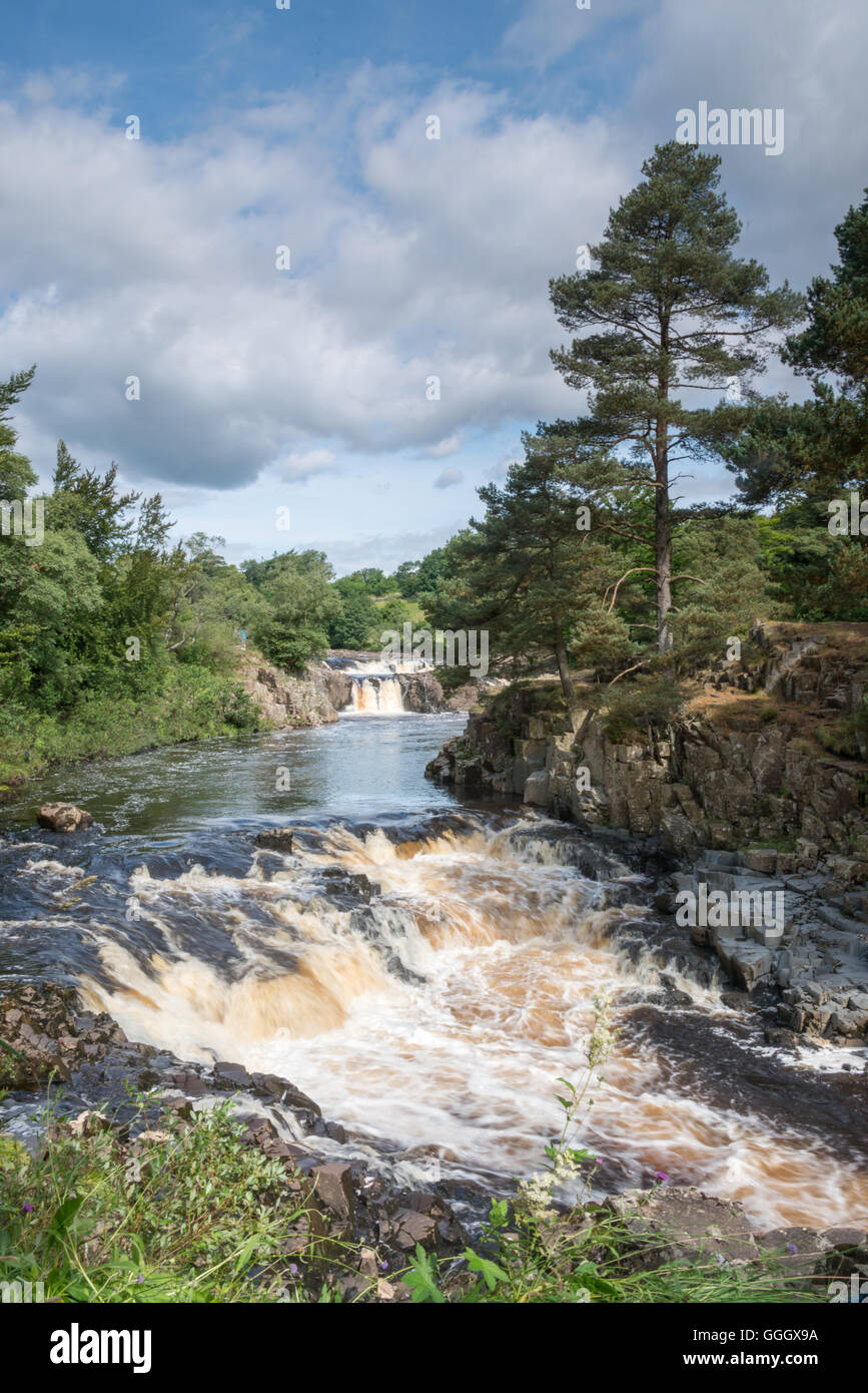 Bassa forza cascata, North Pennines AONB, County Durham, Regno Unito Foto Stock