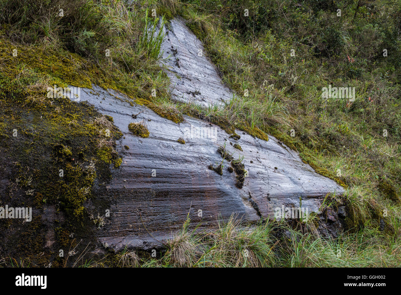 Striature glaciale scavate sulla parete di roccia in alto Ande. Cayambe Coca Riserva Ecologica. Ecuador, Sud America. Foto Stock