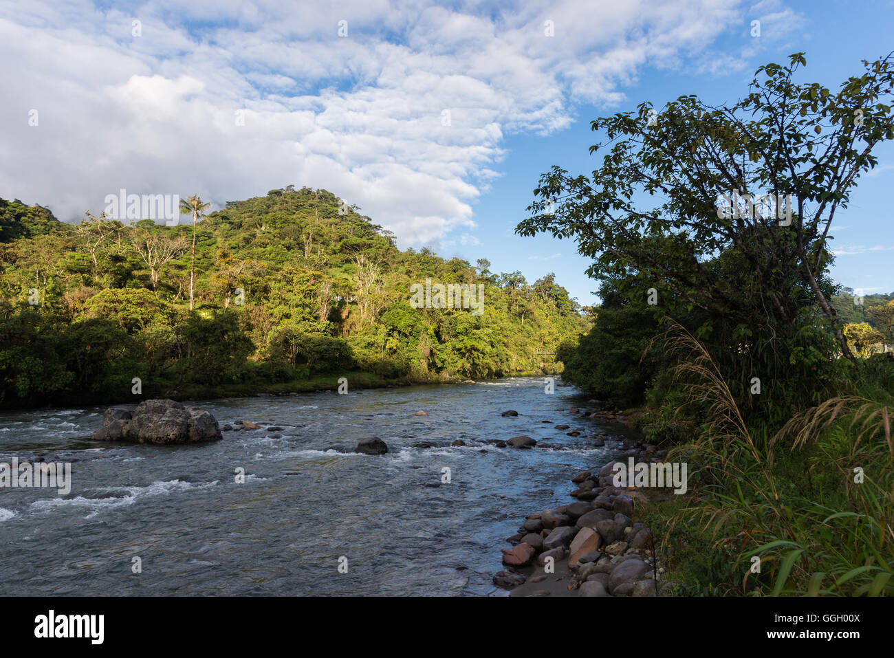 Rio Cosanga nel versante orientale delle montagne delle Ande. Ecuador, Sud America. Foto Stock