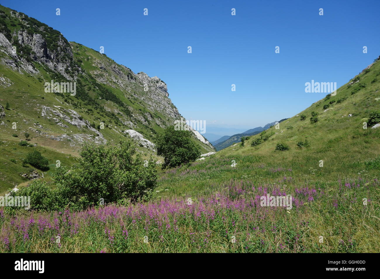Valle Boaria, Alpi Liguri, Italia Foto Stock