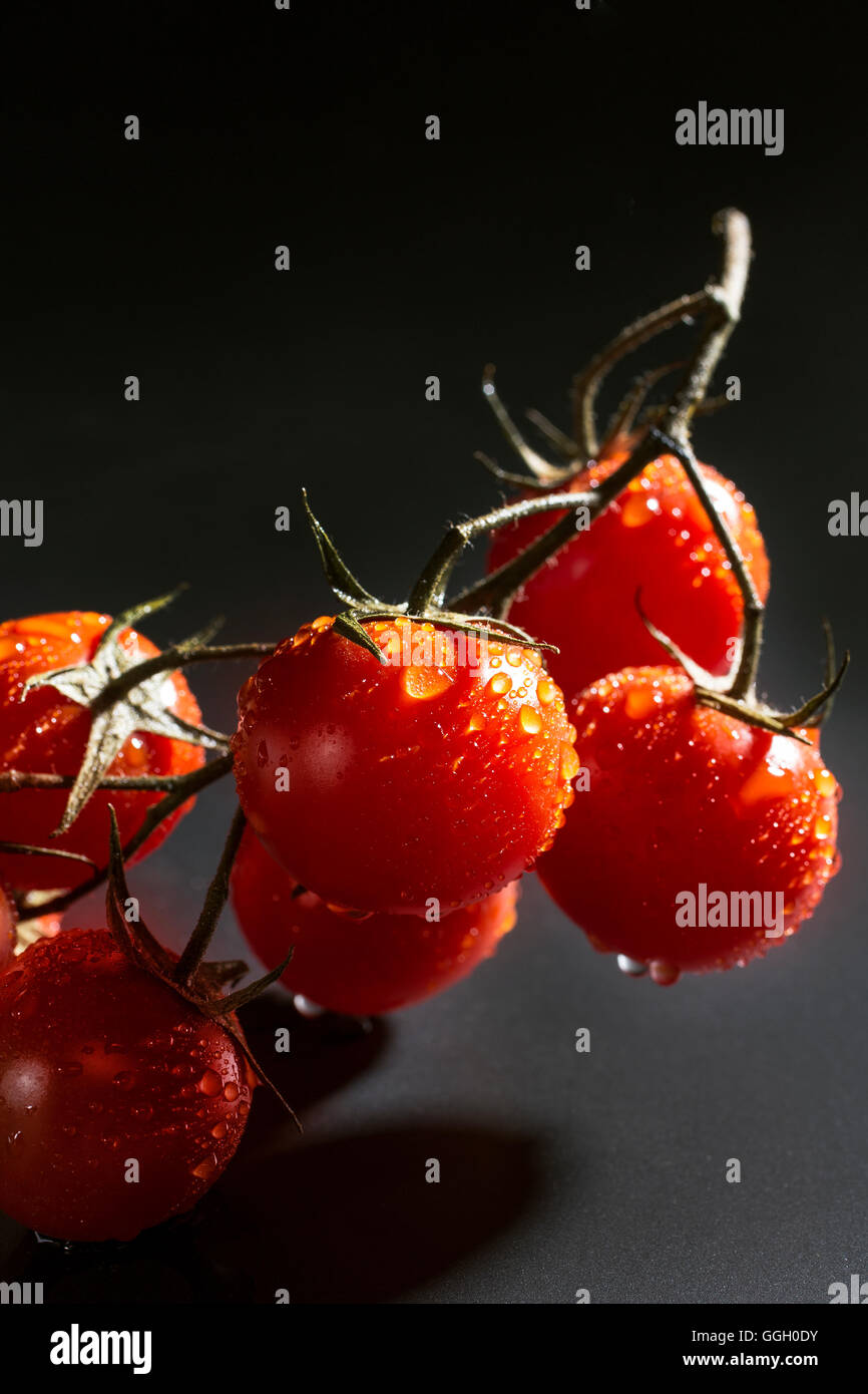 Pomodori in vigna Foto Stock