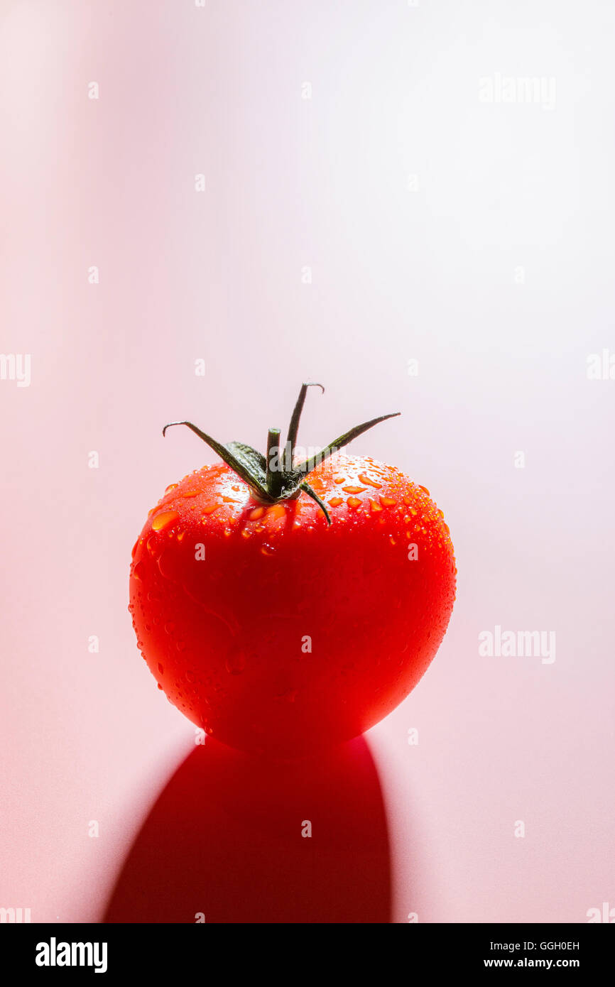 Pomodoro su sfondo chiaro Foto Stock